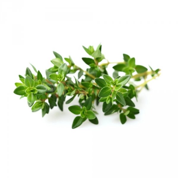 White Thyme Oil, Now Foods, 30ml