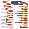 Walizka narzędziowa Knipex 00 21 20 zestaw 20-częściowy