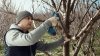 Akumulatorowy sekator ogrodniczy Bosch Professional Pro Pruner 12V
