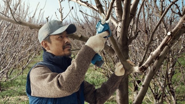 Akumulatorowy sekator ogrodniczy Bosch Professional Pro Pruner 2x3.0Ah 12V