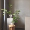Georg Jensen BLOOM BOTANICA Stalowa Doniczka do Kwiatów 12 cm Polerowna