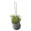 Rig-Tig by Stelton GROW-IT Doniczka na Zioła - Wisząca - Szara