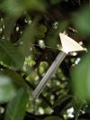 Muuto PITON Lampa Przenośna / Bezprzewodowa - Srebrna Aluminium