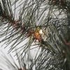 House Doctor CHRISTMAS Wieniec Świąteczny z Lampkami LED