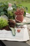 RIG-TIG by Stelton GREEN-IT Narzędzia Ogrodnicze - Zestaw 3 El.
