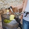 RIG-TIG by Stelton DRINK-IT Butelka do Wody 750 ml Czarna