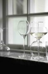 Sagaform SAGA GLASS Kieliszki do Szampana 200 ml 2 Szt.
