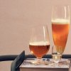 Eva Solo TRIO Szklanki do Piwa 500 ml 6 Szt.