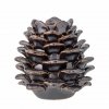 Bloomingville CHRISTMAS PINE Świąteczny Świecznik Szyszka 10 cm / Brązowy