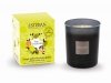 Esteban PARIS Świeca Zapachowa 180 g / Zapach Terre dAgrumes