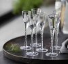Lyngby Glass AQUAVIT PARIS Kieliszki do Wódki, Likierów, Nalewek 6 Szt. 25 ml / Bezbarwne