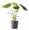 Bitz NORDIC Doniczka ze Spodkiem do Kwiatów - Ziół 14 cm / Różowa
