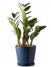 Bitz NORDIC Doniczka ze Spodkiem do Kwiatów - Ziół 14 cm / Niebieska