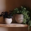 Audo PLANTS Doniczka do Kwiatów 32 cm / Ivory