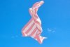 Dock & Bay CABANA Szybkoschnący Ręcznik Plażowy XL 200x90 cm / Malibu Pink
