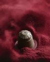Sjöstrand BEETROOT BOOST Kapsułki z Wyciągiem z Buraka 30 Szt.