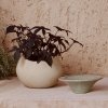 Audo PLANTS Doniczka do Kwiatów 24 cm / Ivory