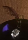 Aytm TORUS Wazon do Kwiatów Zielony/Czarny