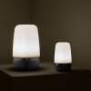 Blomus SPIRIT Lampion LED - S - Platinum Gray