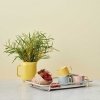 RIG-TIG by Stelton CARRY-ON Podstawka - Taca do Serwowania - Szara
