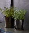 Bitz NORDIC Doniczka ze Spodkiem do Kwiatów - Ziół 14 cm / Brązowa
