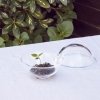 Lyngby Porcelain CHAPEAU Bomboniera Szklana 12,5 cm Przezroczysta