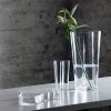 Iittala AALVAR AALTO Wazon do Kwiatów 16 cm Przezroczysty