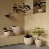 Audo PLANTS Doniczka do Kwiatów 17 cm / Ivory