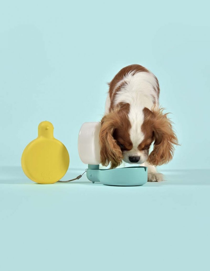 United Pets Milano PINGUI Poidło - Butelka na Wodę dla Psa / Niebieska