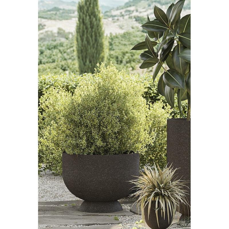 Aytm TERRA Donica do Kwiatów 45 cm - Zewnętrzna / Brązowa