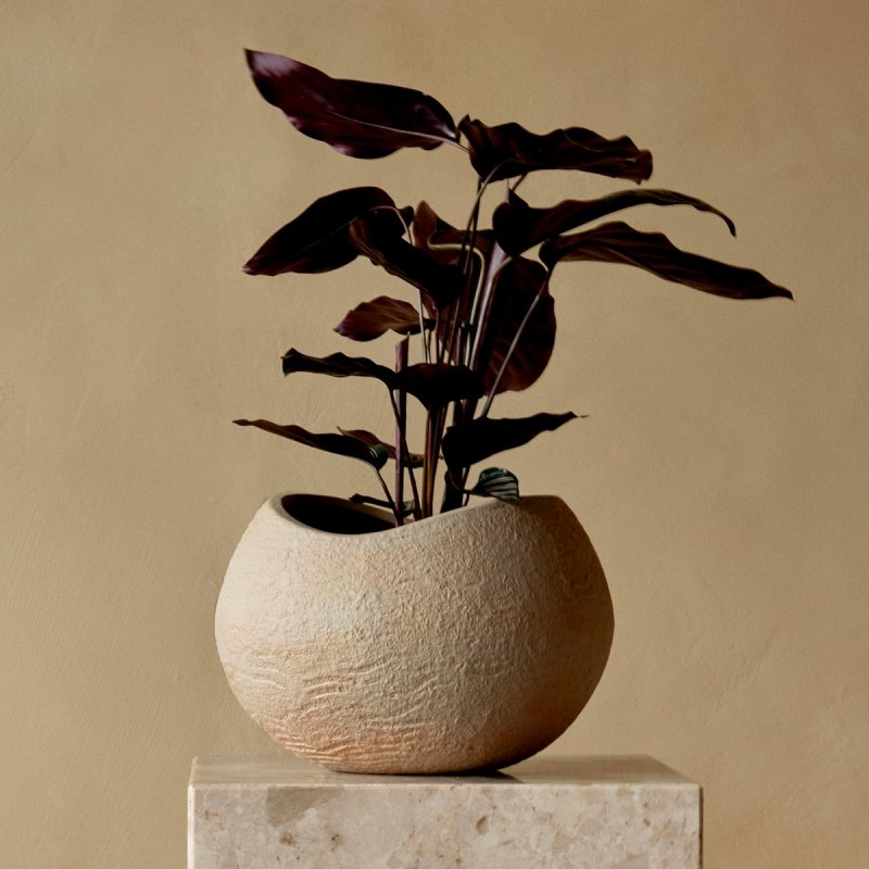 Audo PLANTS Doniczka do Kwiatów 24 cm / Ivory