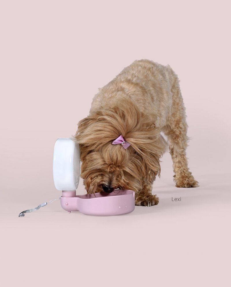 United Pets Milano PINGUI Poidło - Butelka na Wodę dla Psa / Różowa