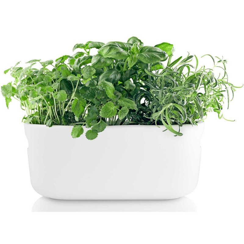 Eva Solo KITCHEN Doniczka do Ziół z Systemem Nawadniania - Biała