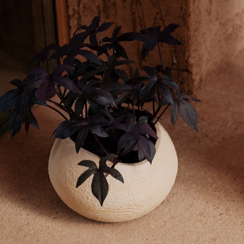 Audo PLANTS Doniczka do Kwiatów 26 cm / Ivory