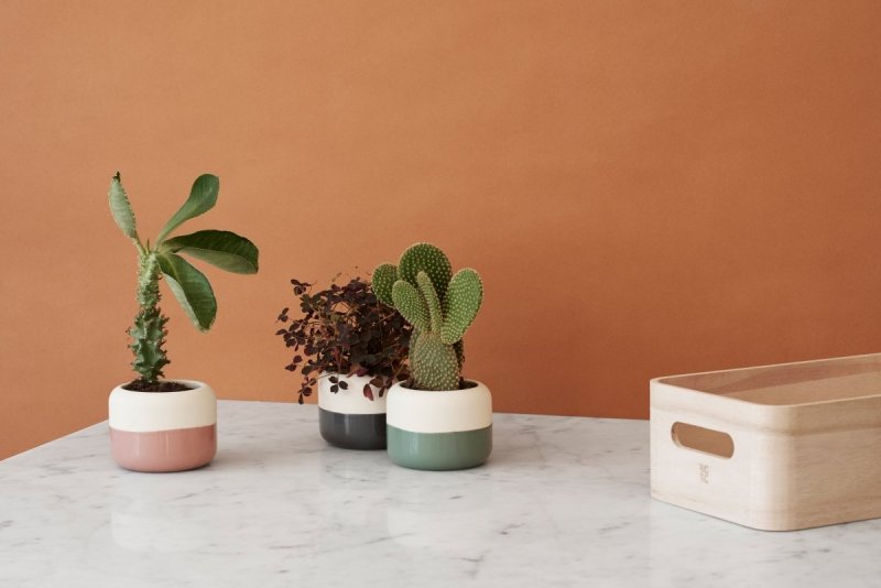 RIG-TIG by Stelton PLANT-IT Doniczka - Szara Grey