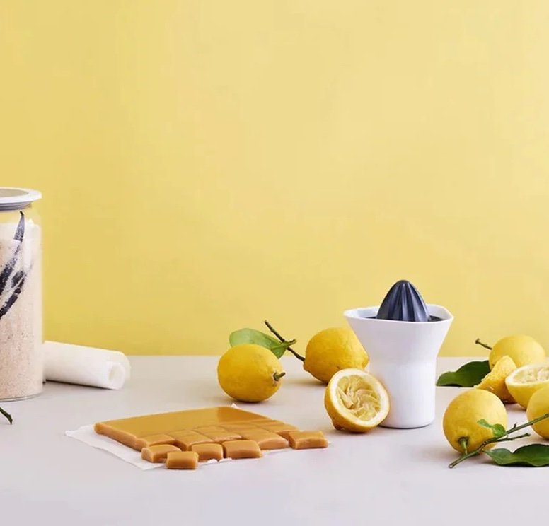 RIG-TIG by Stelton - Wyciskacz do Cytrusów