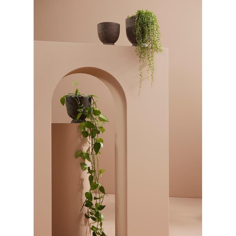 Aytm TERRA Donica do Kwiatów 20 cm Brązowa