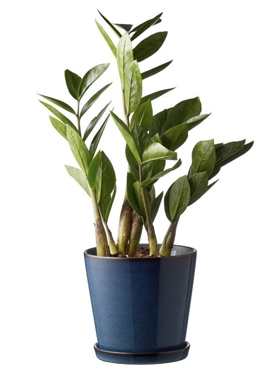 Bitz NORDIC Doniczka ze Spodkiem do Kwiatów - Ziół 14 cm / Niebieska