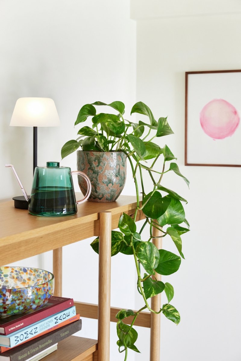 Designerska szklana konewka Flora jako ozdoba wnętrza