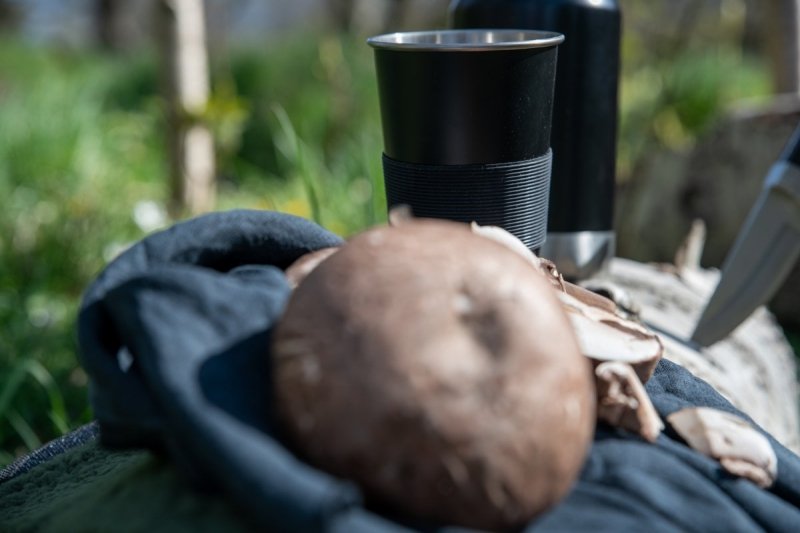 Sagaform TO GO Kubek Stalowy 500 ml - Zestaw 2 Kubków Czarny