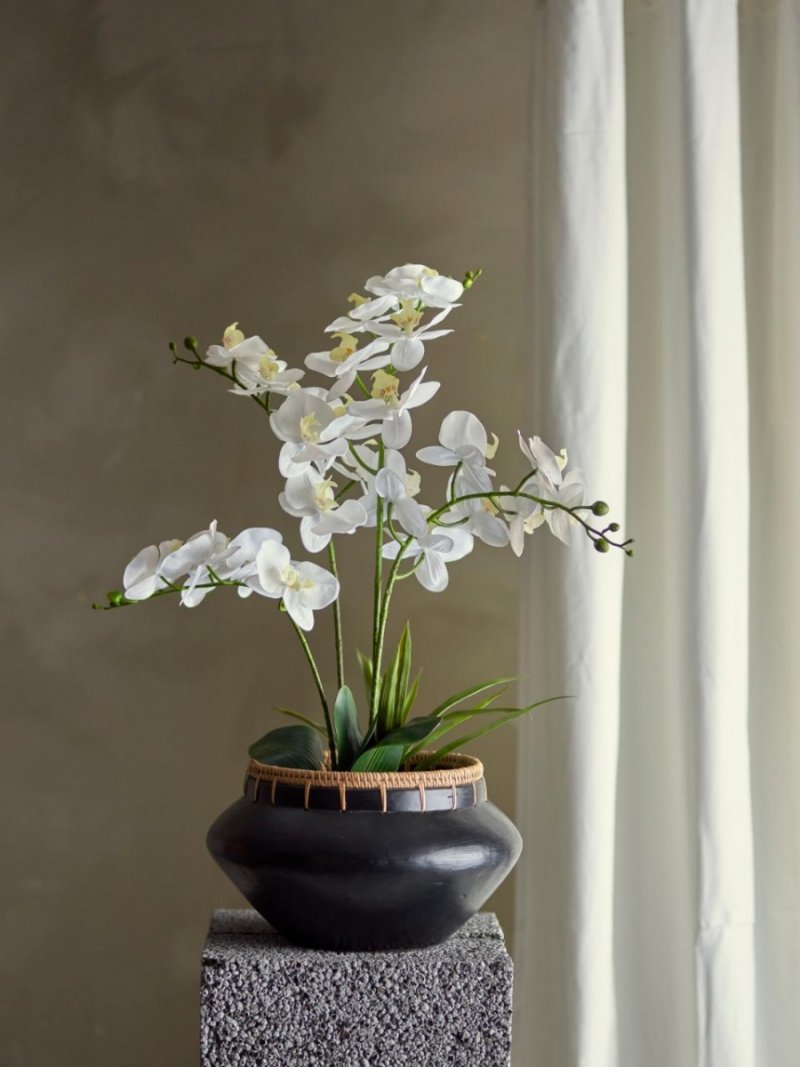 Bloomingville PLANT Sztuczna Roślina / Kwiat Doniczkowy - Orchidea