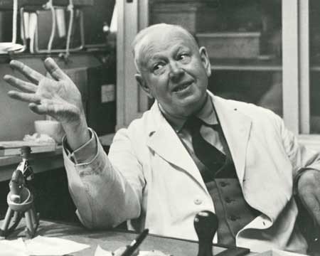 Kay Bojesen SONGBIRD Ptaszek Drewniany RUTH / Różowy