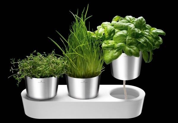 Wmf GOURMET Doniczka na Zioła z Systemem Nawadniającym - Zestaw do Uprawy Ziół