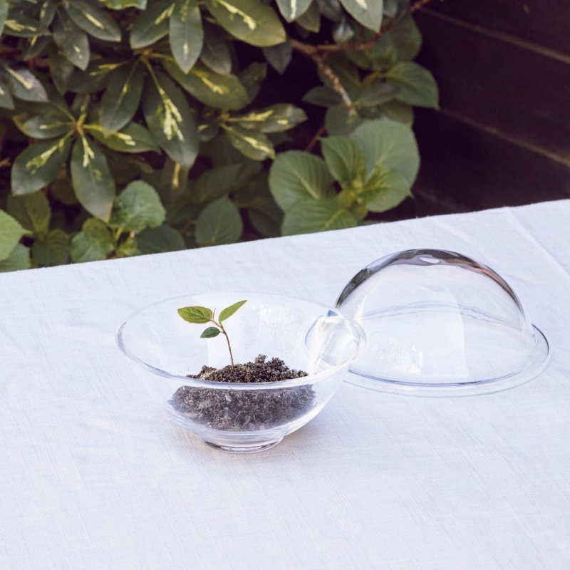 Lyngby Porcelain CHAPEAU Bomboniera Szklana 12,5 cm Przezroczysta
