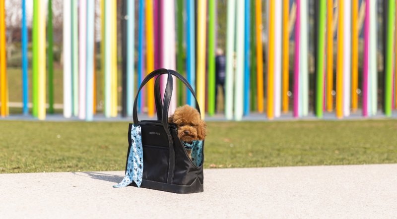 United Pets Milano UP BAG Transporter - Torba dla Psa / Czarno - Niebieska
