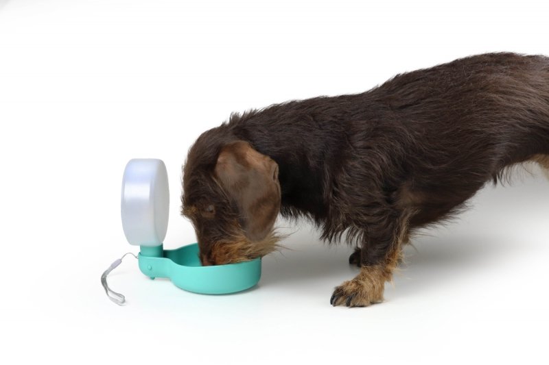 United Pets Milano PINGUI Poidło - Butelka na Wodę dla Psa / Niebieska