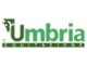 UMBRIA EQUITAZIONE