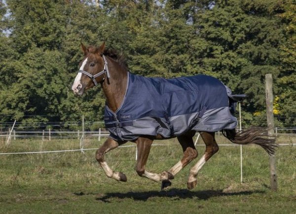 Derka padokowa Equitheme &quot;TYREX 600 D Polar&quot; navy/grey