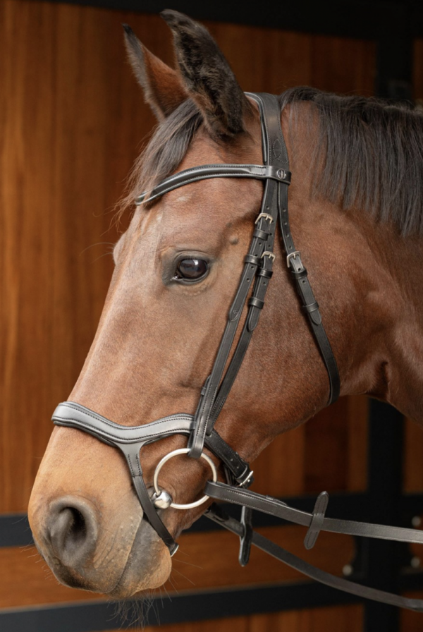 Ogłowie anatomiczne Harry's Horse Anatomic