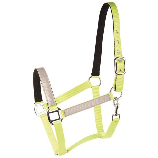 Kantar Harry's Horse Reflective